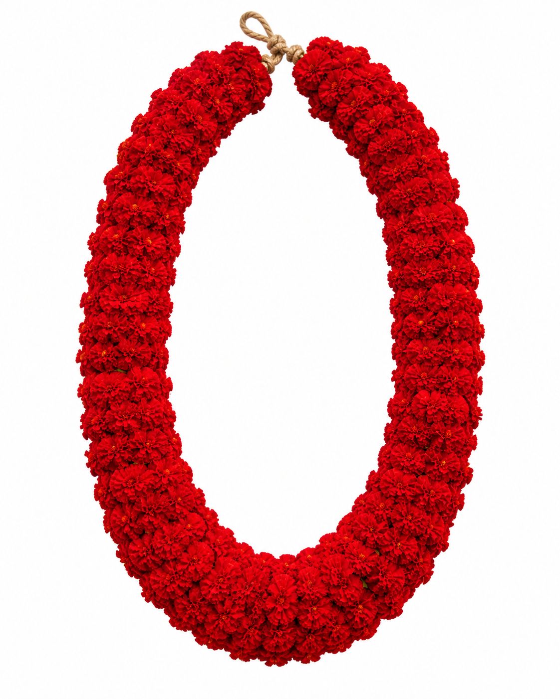 Fresh Hazara flower mala for bulk order in Jaipur